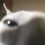 Icon image for server: minecraft anarchy