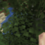 Icon image for server: PrisonKraft