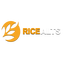 Icon image for server: cyberpunk land