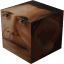 Icon image for server: Skyreality