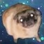 Icon image for server: doggosmp