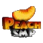 Icon image for server: play.Peachsmp.net