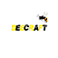 Icon image for server: beecraft 