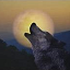 Icon image for server: TheWulfs