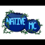 Icon image for server: NativeMC