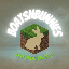 Icon image for server: Boats & Bunnies SMP