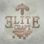 Icon image for server: EliteCraft SMP