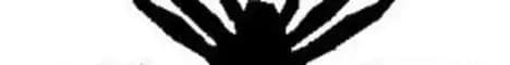 Banner image for server: Guns N Roses 