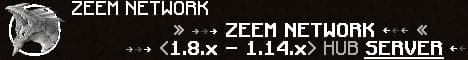 Banner image for server: ZEEM NETWORK