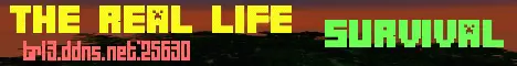 Banner image for server: The Real Life