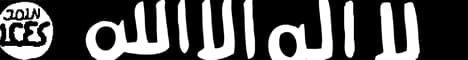 Banner image for server: JoinICES