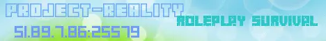 Banner image for server: Project Reality
