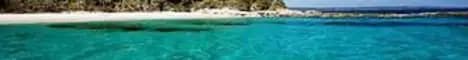 Banner image for server: Surivival the world