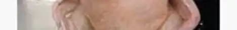 Banner image for server: elbilly
