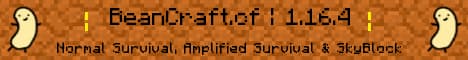 Banner image for server: Bean Craft