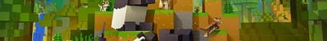 Banner image for server: smp-public