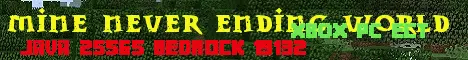 Banner image for server: Mine Never Ending  World