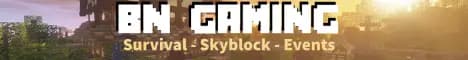 Banner image for server: BNG Survival