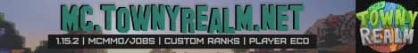 Banner image for server: TownyRealm