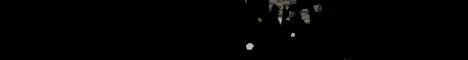 Banner image for server: ZENITH