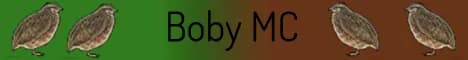 banner image for server: Boby MC