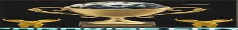 Banner image for server: ParadiseCityMC