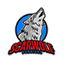 Icon image for server: ScarWolf Survival