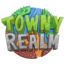 Icon image for server: TownyRealm