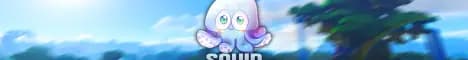 banner image for server: Squid Network